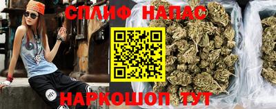 прущие крисы Гатчина