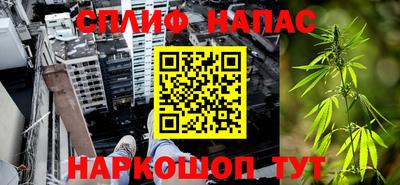 прущие крисы Гатчина