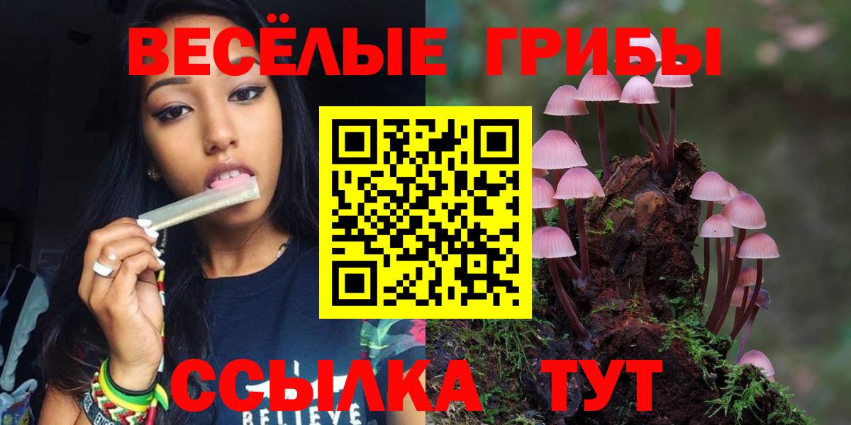 Нарткала  Галлюциногенные грибы Psilocybine cubensis  Вход с VPN 