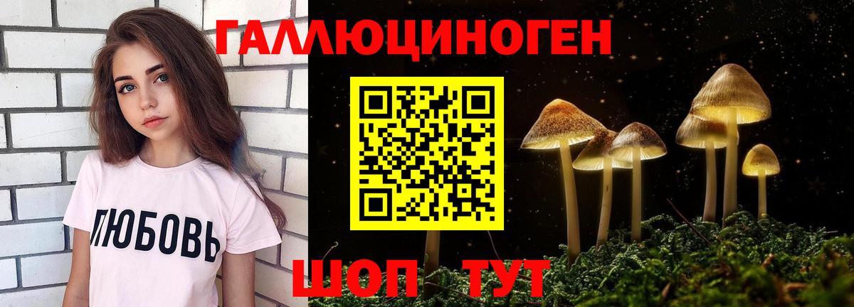 Галлюциногенные грибы Cubensis Нарткала